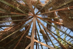 le-f212-01-29-Schmidt