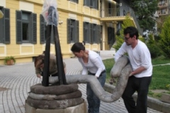 pf-e37-03-1